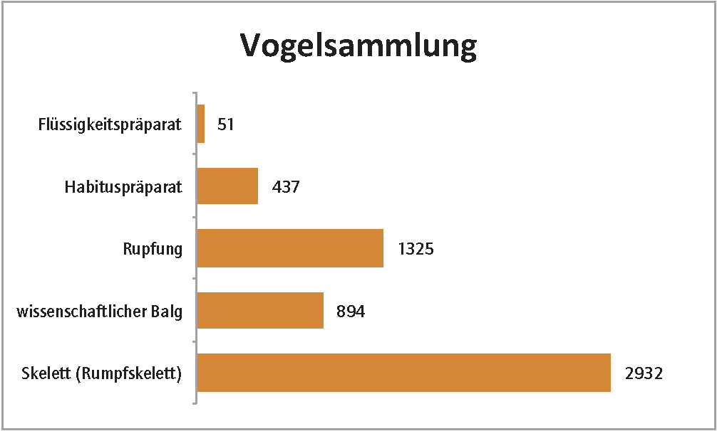 Vogelsammlung des Museum der Westlausitz Kamenz