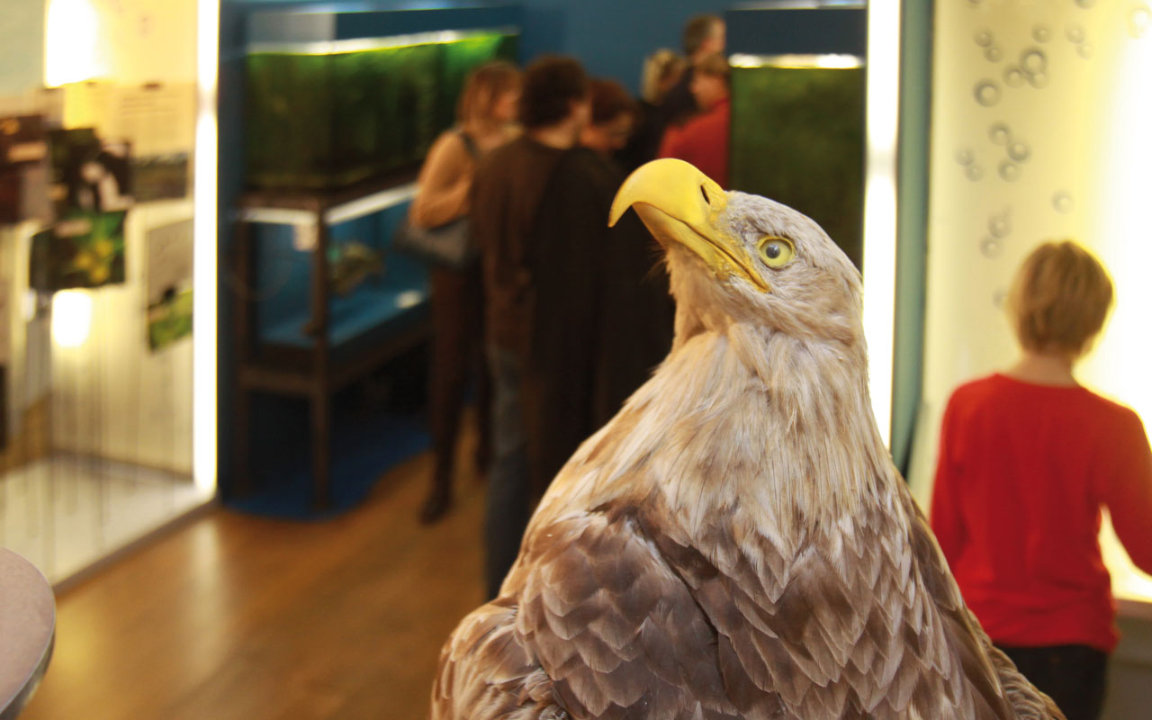 Themenwelt Nutzen, Foto: Anne Hasselbach, © Museum der Westlausitz Kamenz