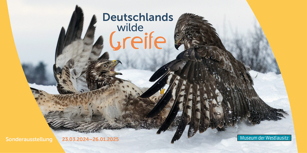 Plakat Sonderausstellung "Greife"