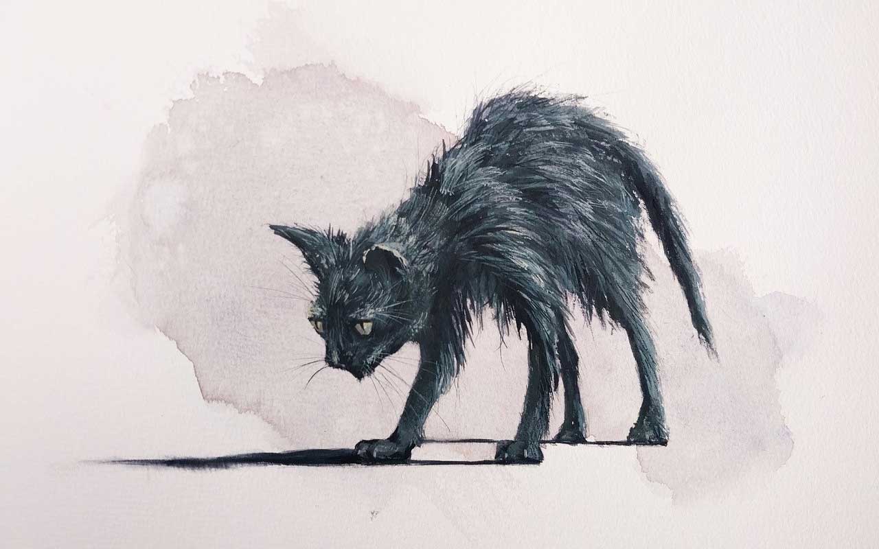 Schwarze Katze, Zeichnung: Alexander Stroh