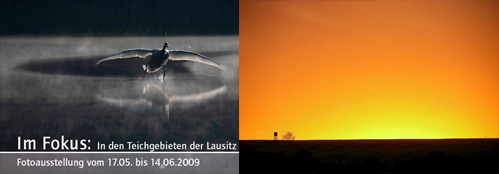 Vogel über dem Wasser in grau (links); Sonnenuntergang (rechts)