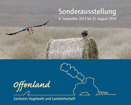 Sonderausstellung Offenland - Sachsens Vogelwelt und Landwirtschaft / Museum der Westlausitz Kamenz