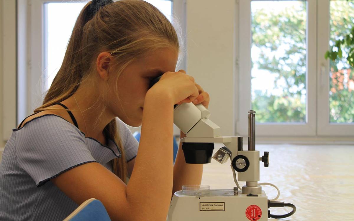 Amphibienforscher; Quelle: Museum der Westlausitz Kamenz; © Museum der Westlausitz Kamenz Amphibienforscher; Quelle: Museum der Westlausitz Kamenz; © Museum der Westlausitz Kamenz